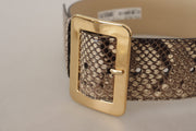 Dolce & Gabbana Brown Exotic Wide Waist Leather Gold Metal Buckle Belt
