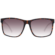 Guess Brown Plastic Sunglasses