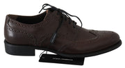 Dolce & Gabbana Brown Leather Brogue Derby Dress Shoes