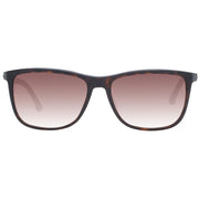 Police Brown Acetate & Plastic Sunglasses