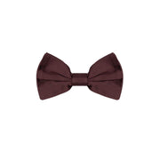 Dolce & Gabbana Burgundy Silk Bowtie