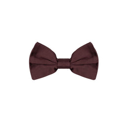 Dolce & Gabbana Burgundy Silk Bowtie