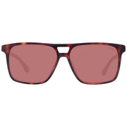 BMW Brown Acetate Sunglasses