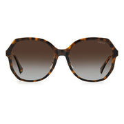 Polaroid Brown Plastic Sunglasses