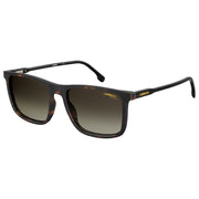 Carrera Brown Injected Sunglasses