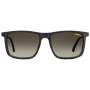 Carrera Brown Injected Sunglasses