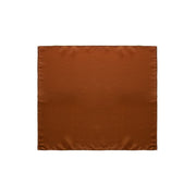 Dolce & Gabbana Brown Silk Pocket Square