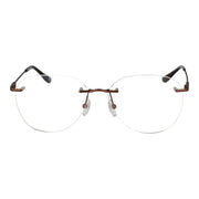 BMW Bronze Titanium Glasses (Frames)