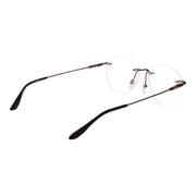 BMW Bronze Titanium Glasses (Frames)