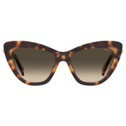 Moschino Brown Acetate Sunglasses