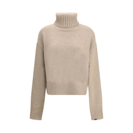 Extreme Cashmere Beige Cashmere Turtleneck