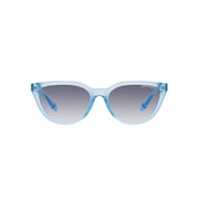 Armani Exchange Blue Acetate Sunglasses