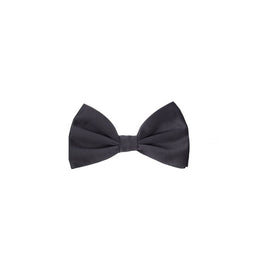 Dolce & Gabbana Gray Silk Bowtie