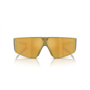 Arnette Gold Resin Sunglasses
