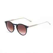 Belstaff Brown Titanium Sunglasses