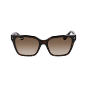 Lacoste Brown Acetate Sunglasses